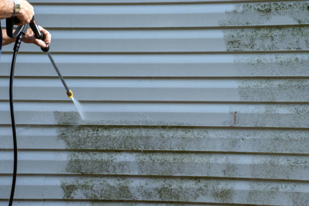 Historical Building Siding Restoration in Purvis, MS