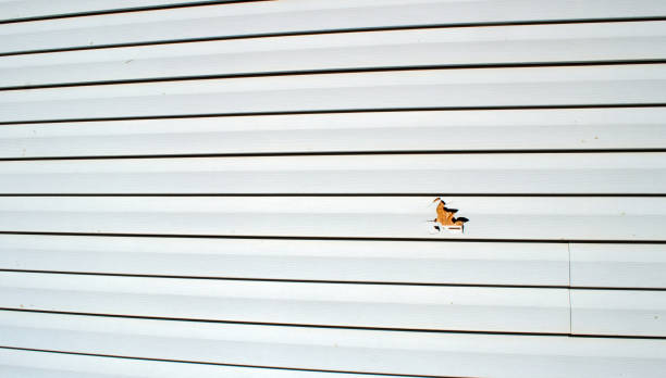 Purvis, MS Siding Installation & Repair Company